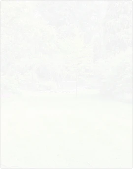 Заказывали услугу?